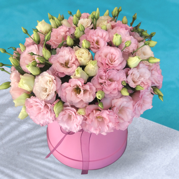  Alanya Flower Pink Lisianthus in Box