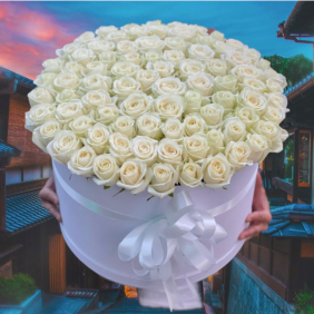  Alanya Flower Order 75 White Roses in Box