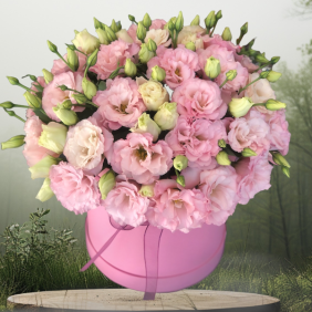  Заказ цветов в Алании Розовый лизиантус в коробке