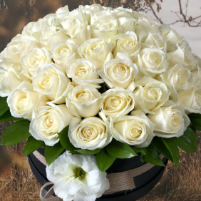  Alanya Flower Order 41 White Roses in Box